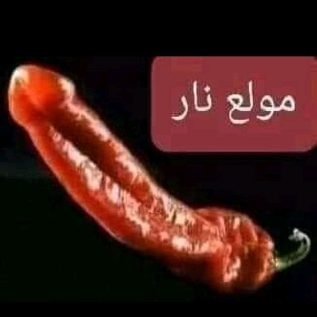sn_swsw's tweet photo. #صورة_ملف_شخصي_جديدة https://t.co/on32dflz5p