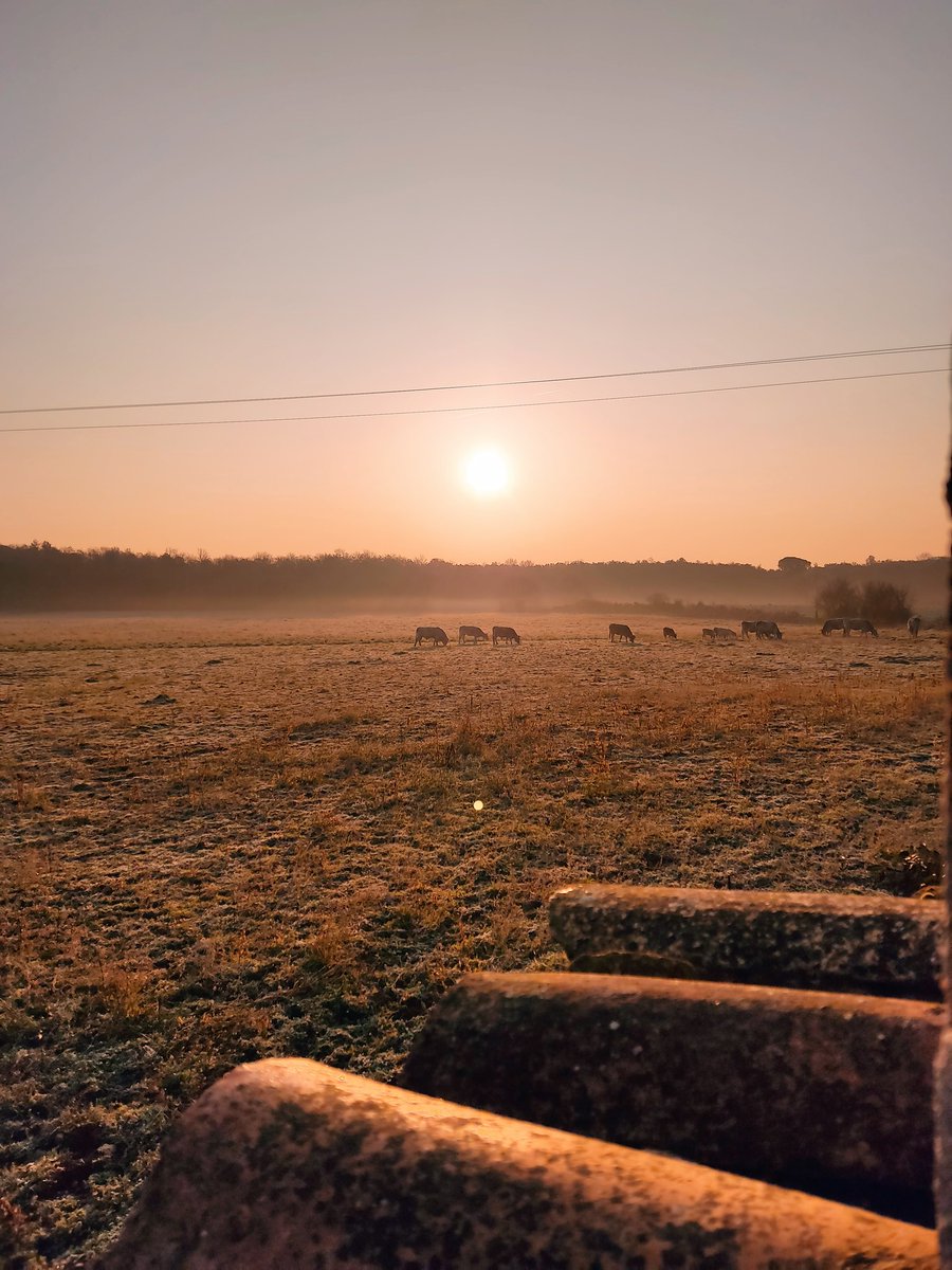 Bon dia de diumenge!

Des de la Rectoria de Dosquers