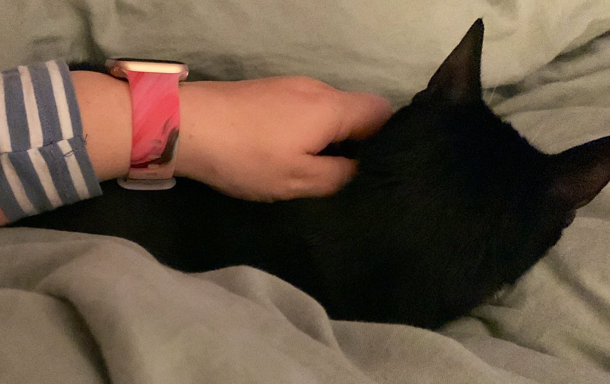 Guten Morgen, ihr 🌞und 🌼

Es ist Sonntag. 
Seid gut zueinander und macht das Beste aus diesem Tag!
Hier wird noch gekuschelt. Ob ich es schaffe Kaffee ans Bett zu beamen?
#flausch