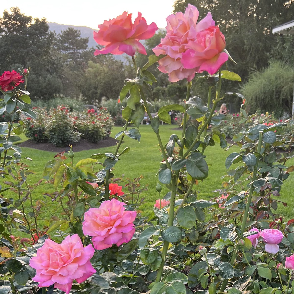Belle fête à nos grands-mères ! Elles sont une part de notre enfance et restent quoi qu’il arrive pour toujours dans nos cœurs ! #Fetedesgrandsmeres