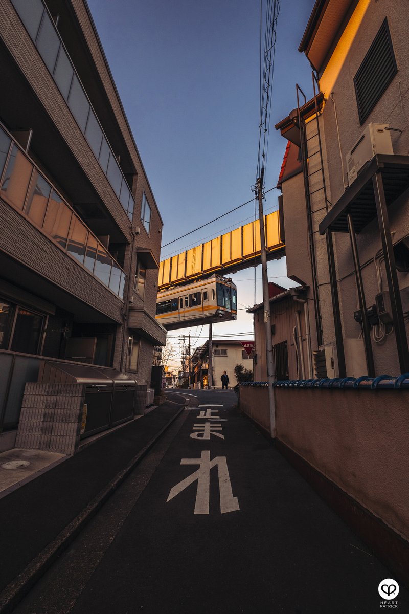 Heartpatrick tweet media