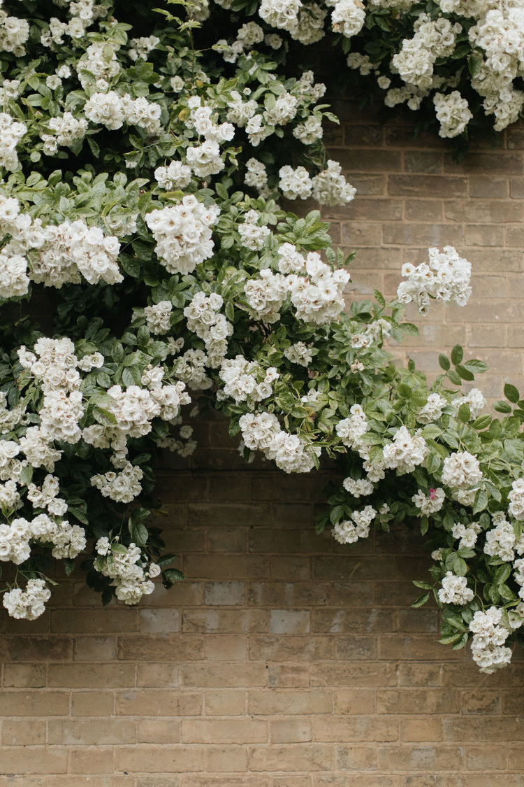 MineOthers's tweet image. @stringbeans100 💖
Thank you for the follow 💖
Difficult roads often lead to #beautiful destinations! ... Quote of the day ♒️
Hello from Australia embraced by a calm and gentle #autumn night 🍂🌟🍂... Misha 💞