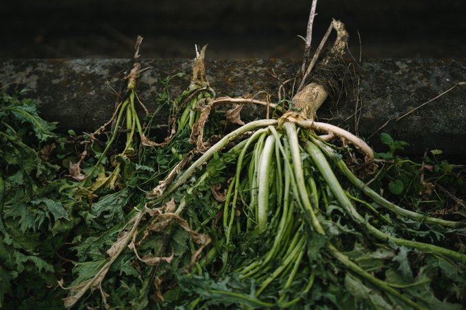 タムロン 35(52.5/2.8) 