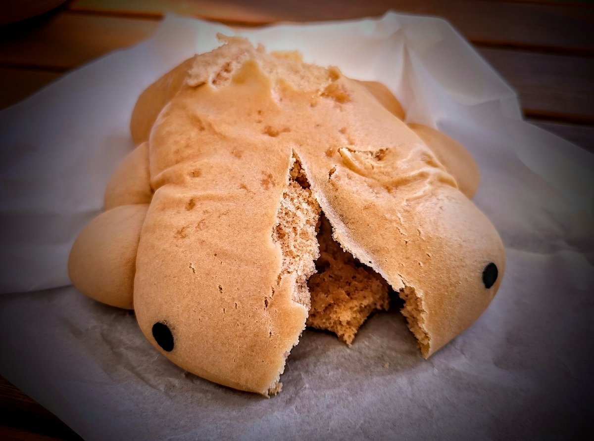 とん on Twitter: "休憩は水族館内のカフェ。オオサンショウウオ肉まん!☺️天気良くてポカポカで気持ちよかった☺️" - FqcOqbWakAIubHU