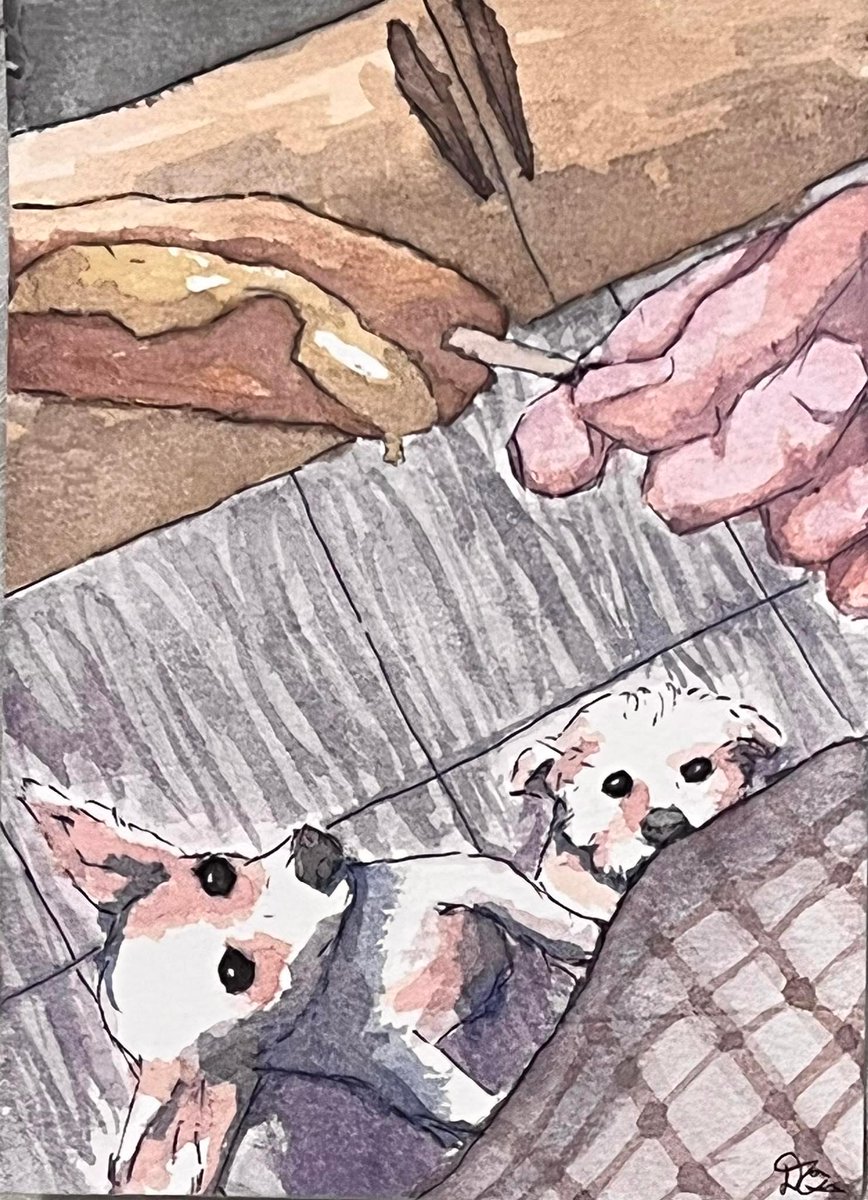 DG_DiamondGold's tweet photo. I painted a friend's dog twice. The one with more quality was a christmas gift, while the simpler one was a birthday gift! #watercolor #artmoots https://t.co/vOkSyWrE2N
