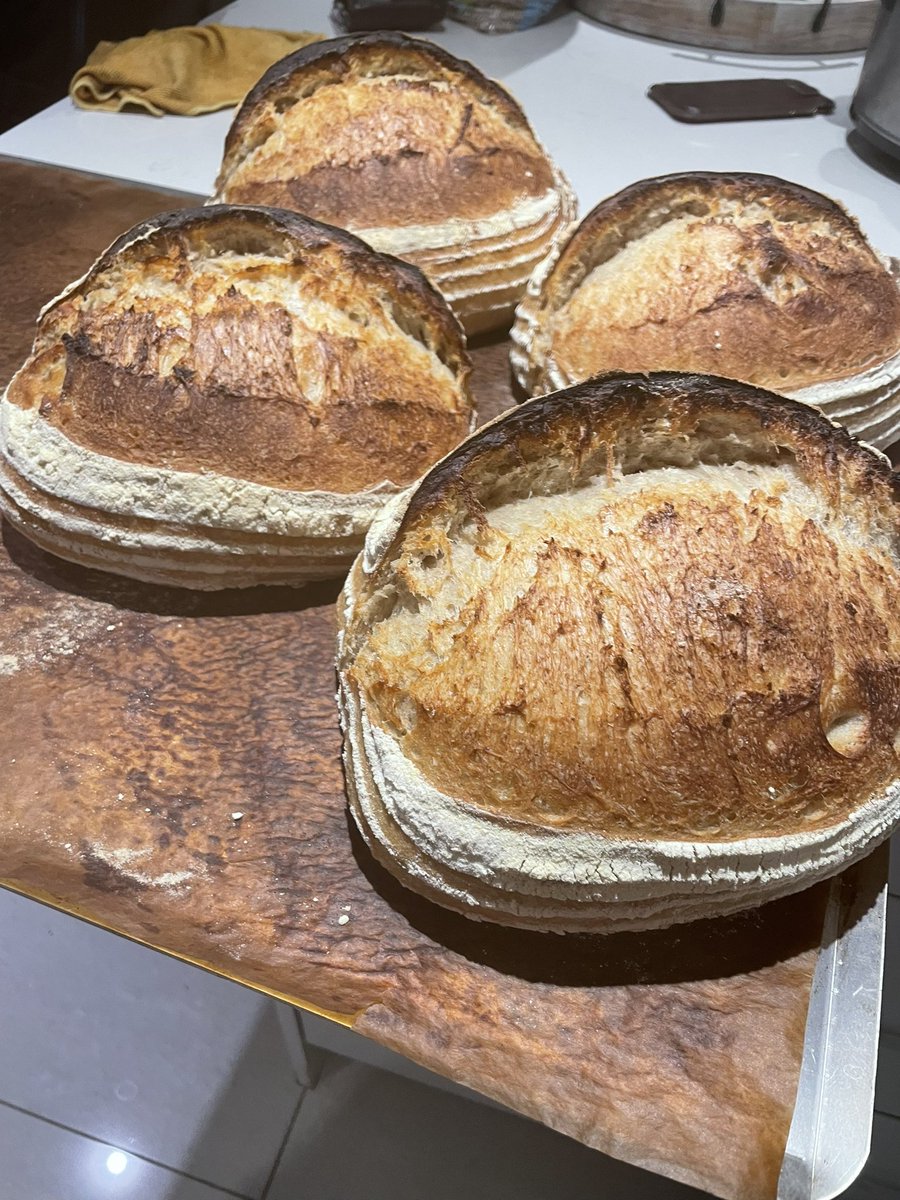 rct_smith's tweet photo. Progression from dough to finished loaves. #horshambakery #shiptonmill #sussexbaleries #sourdough https://t.co/aMVLQBH1XG