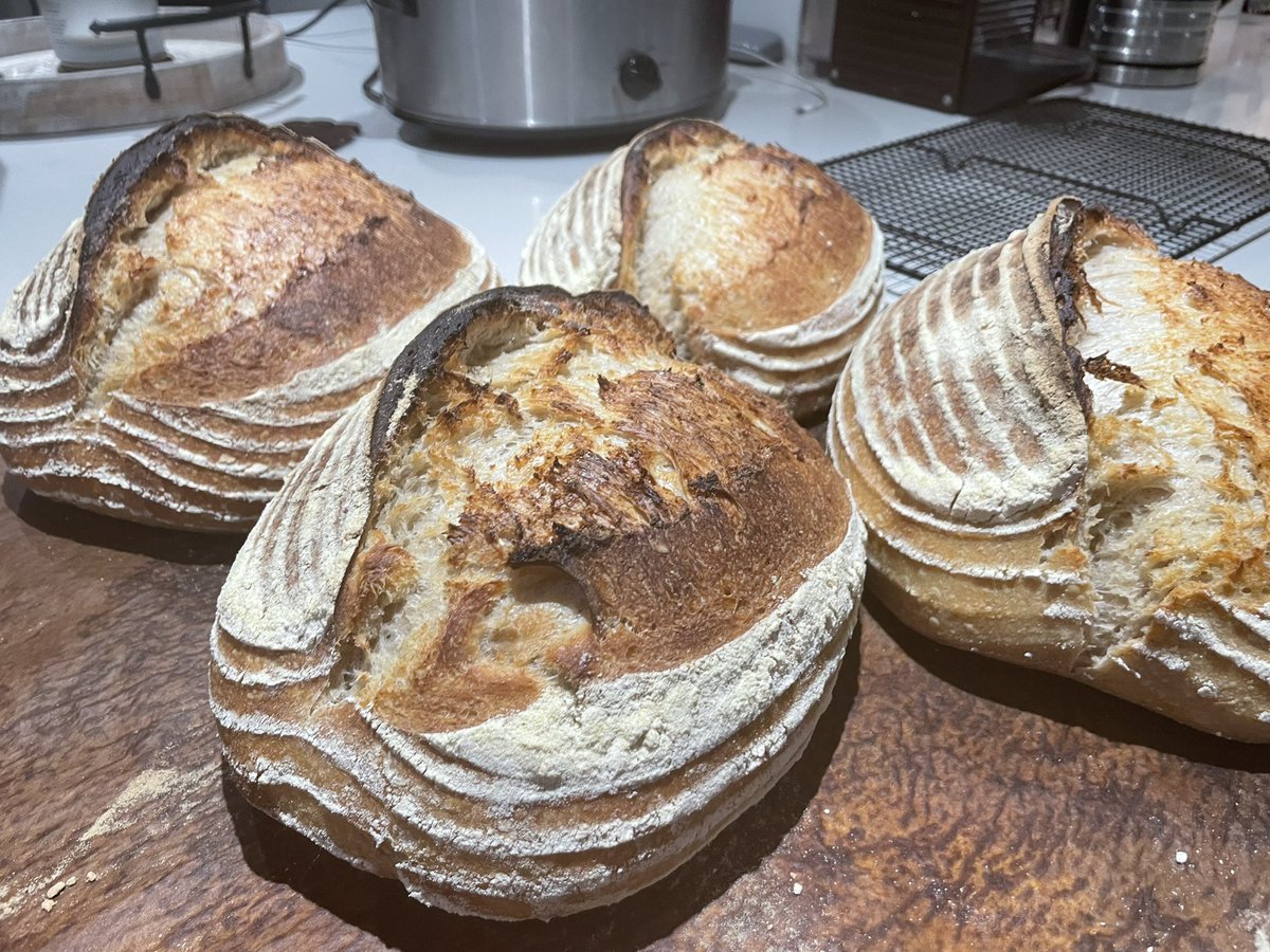 rct_smith's tweet photo. Progression from dough to finished loaves. #horshambakery #shiptonmill #sussexbaleries #sourdough https://t.co/aMVLQBH1XG