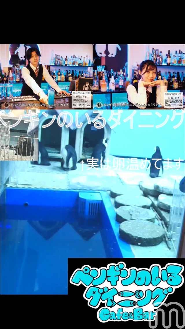 sourarindyna's tweet photo. 『シェア枠No.１』- ペンギンのいるダイニング🍸店長🐧さんのMixChannel LIVEに参加しよう！ #ミクチャLIVE https://t.co/XdQuFonXDK https://t.co/9UtkS99KTi