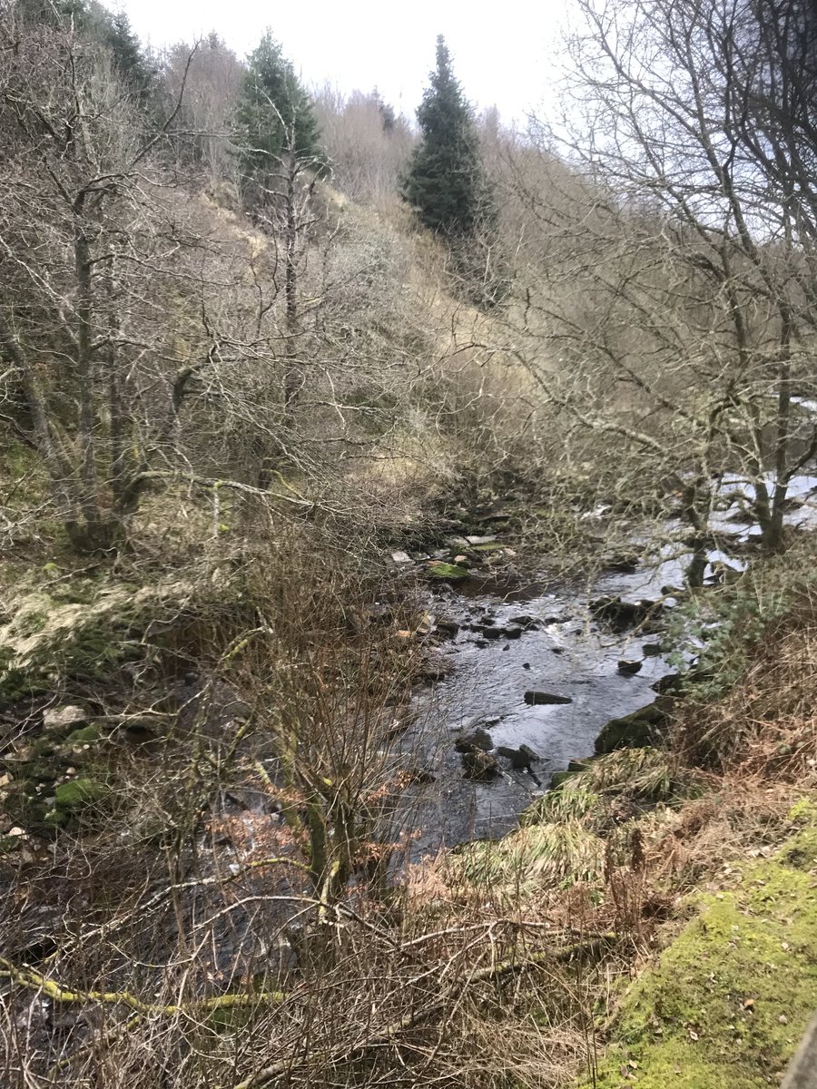 Helenpepper64's tweet photo. View from my window this morning #Northumberland #Kielder #CalvertTrust https://t.co/LZiFtndMUi
