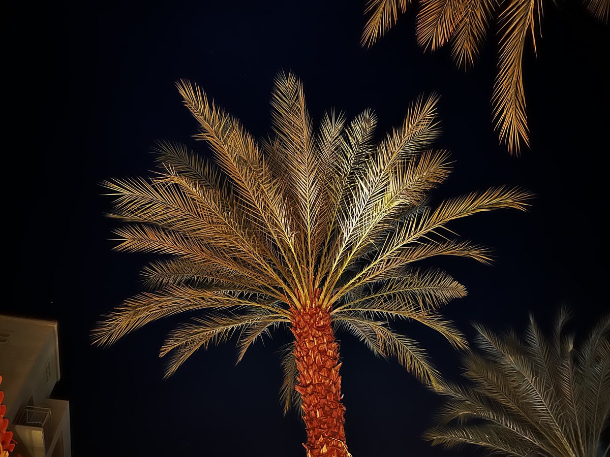 Palm Springs at night