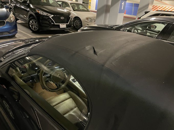 TW Pornstars - Anthony Randall. Pictures and videos from Twitter.