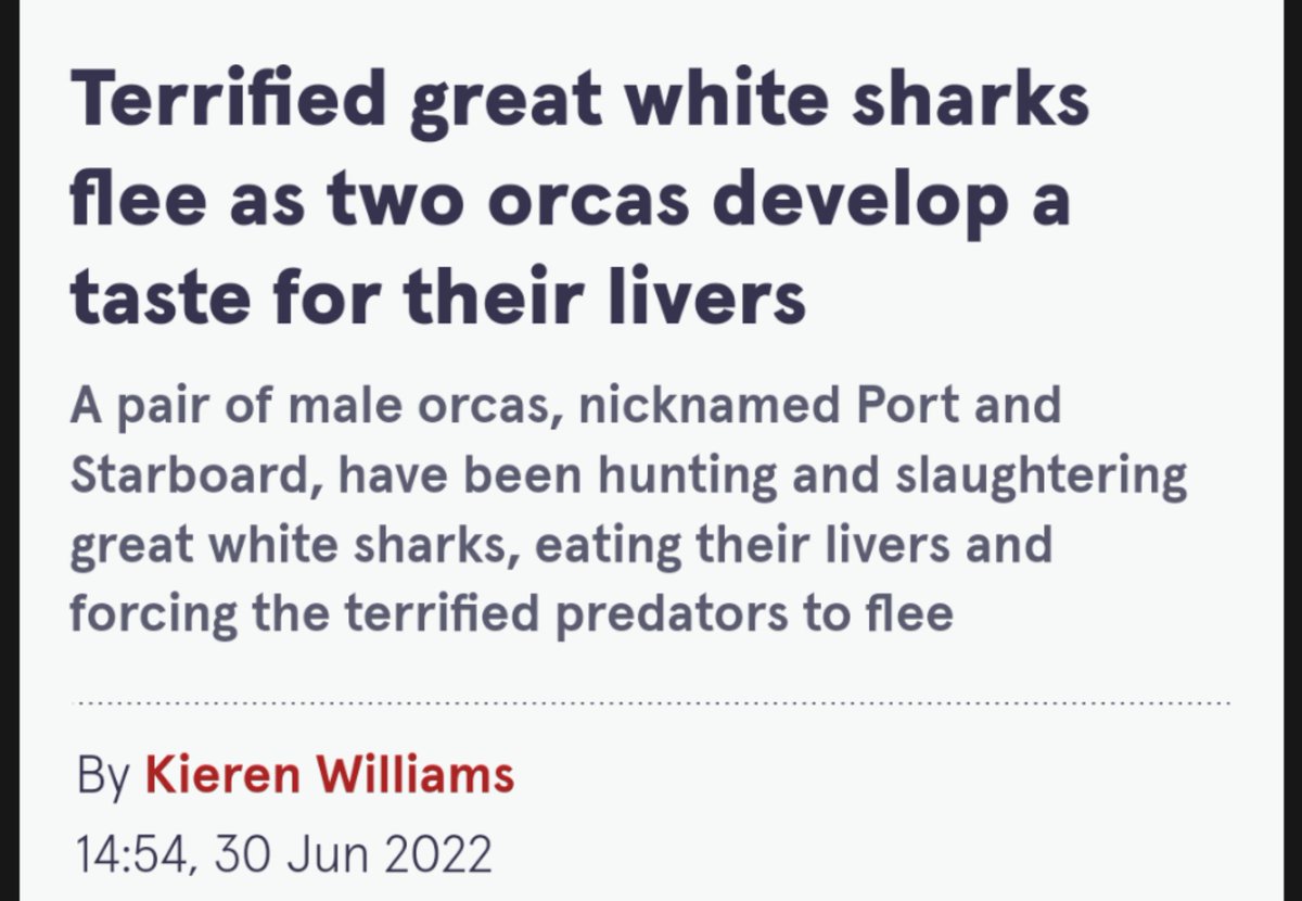 In 2015 a pair of orcas - Port & Starboard - arrived in Cape Town and began hunting local sharks, surgically targeting the liver. The great whites fled, causing a collapse in marine tourism, but it gets stranger.