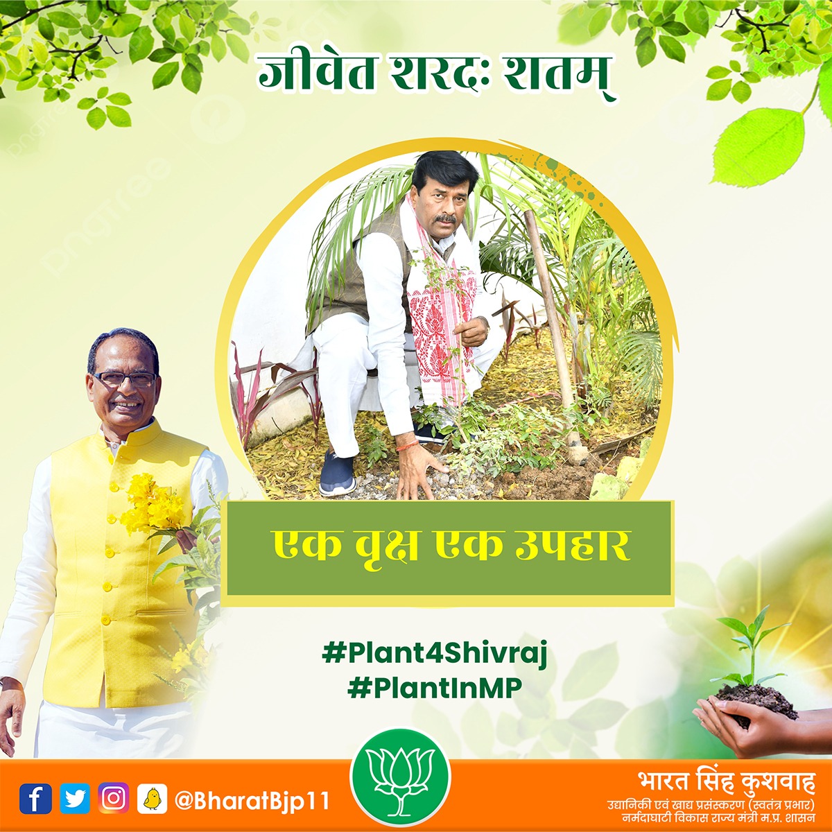 BharatBjp11's tweet photo. आज प्रदेश के यशस्वी मुख्यमंत्री माननीय श्री @ChouhanShivraj जी के जन्मदिवस के शुभ अवसर पर मधुकामिनी का पौधा रोपित किया।
#Plant4Shivraj
#PlantInMP https://t.co/aR9MgQVWtF