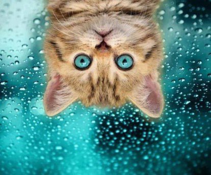 Hi nice day everyone 😘