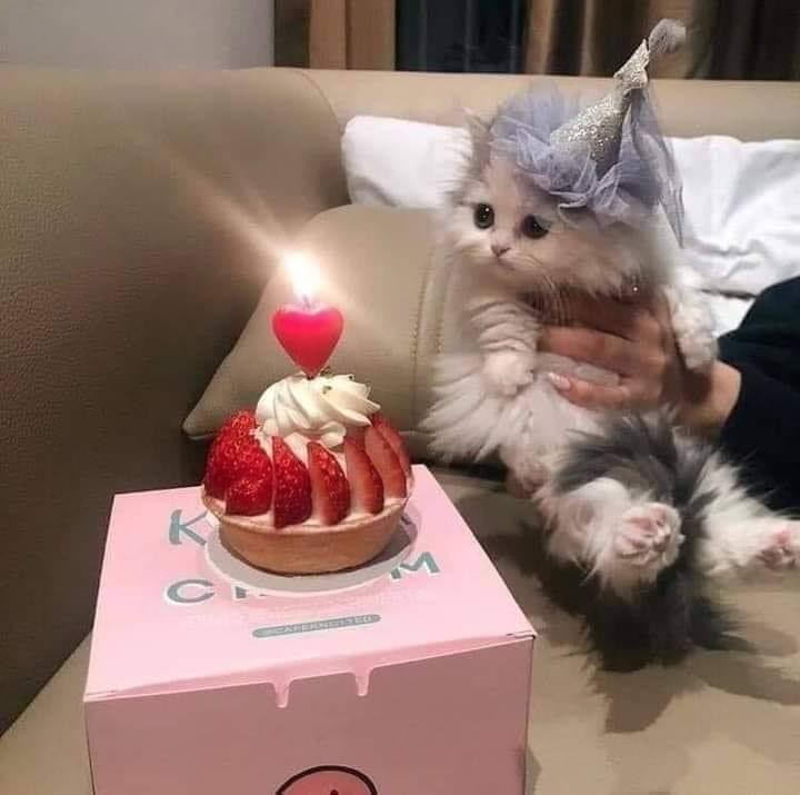 Happy birthday to me 🥳