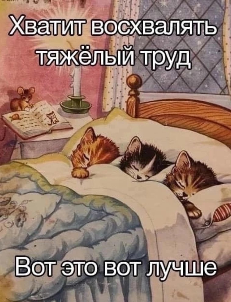 ужасные мемы (@liltonder) on Twitter photo 