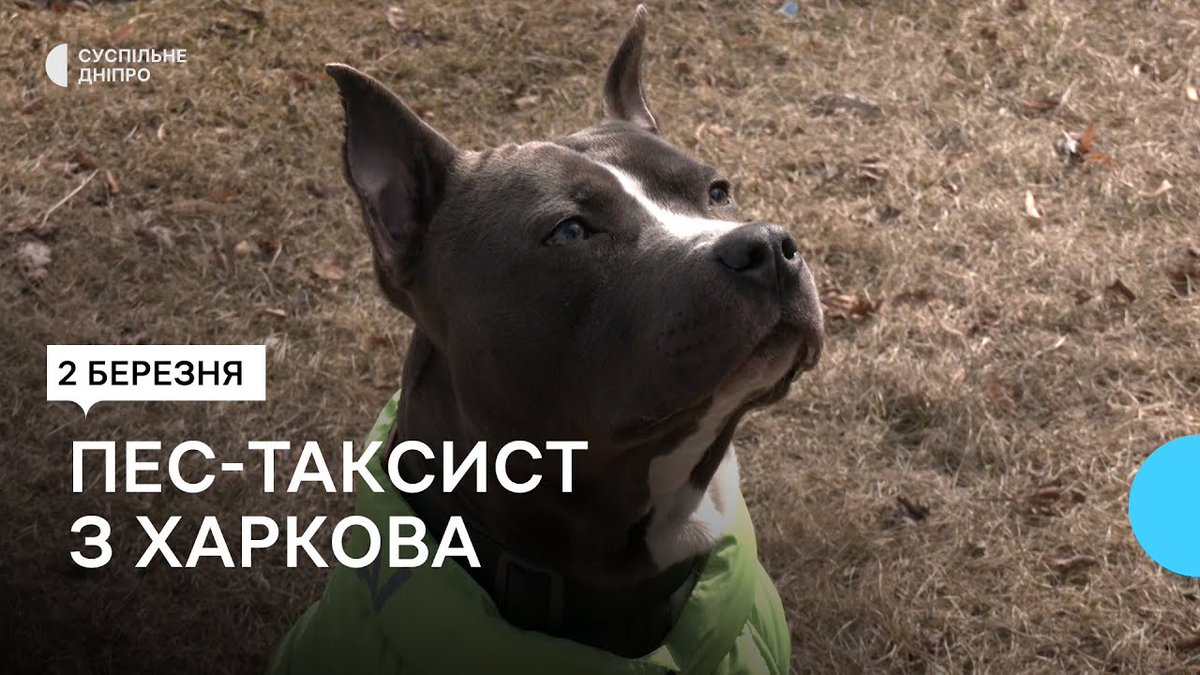 suspilne_out's tweet photo. #суспільне #дніпро #харкі�� https://t.co/RE05DqZVzL