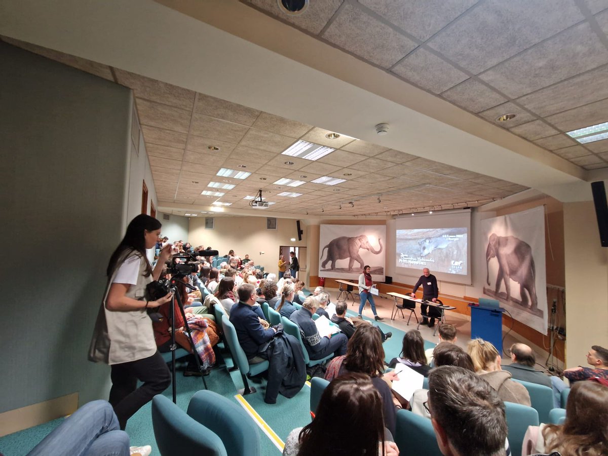 AudeLalis's tweet photo. Intervention #ARMAGUEDON  aux 3èmes #RencontresNationalesPetitsMammifères  #SFEPM #MuseumBourges @AudeLalis @pierre_scht  @ISYEB_UMR @MNHN_recherche @AgenceRecherche https://t.co/gGsv5ymBwF