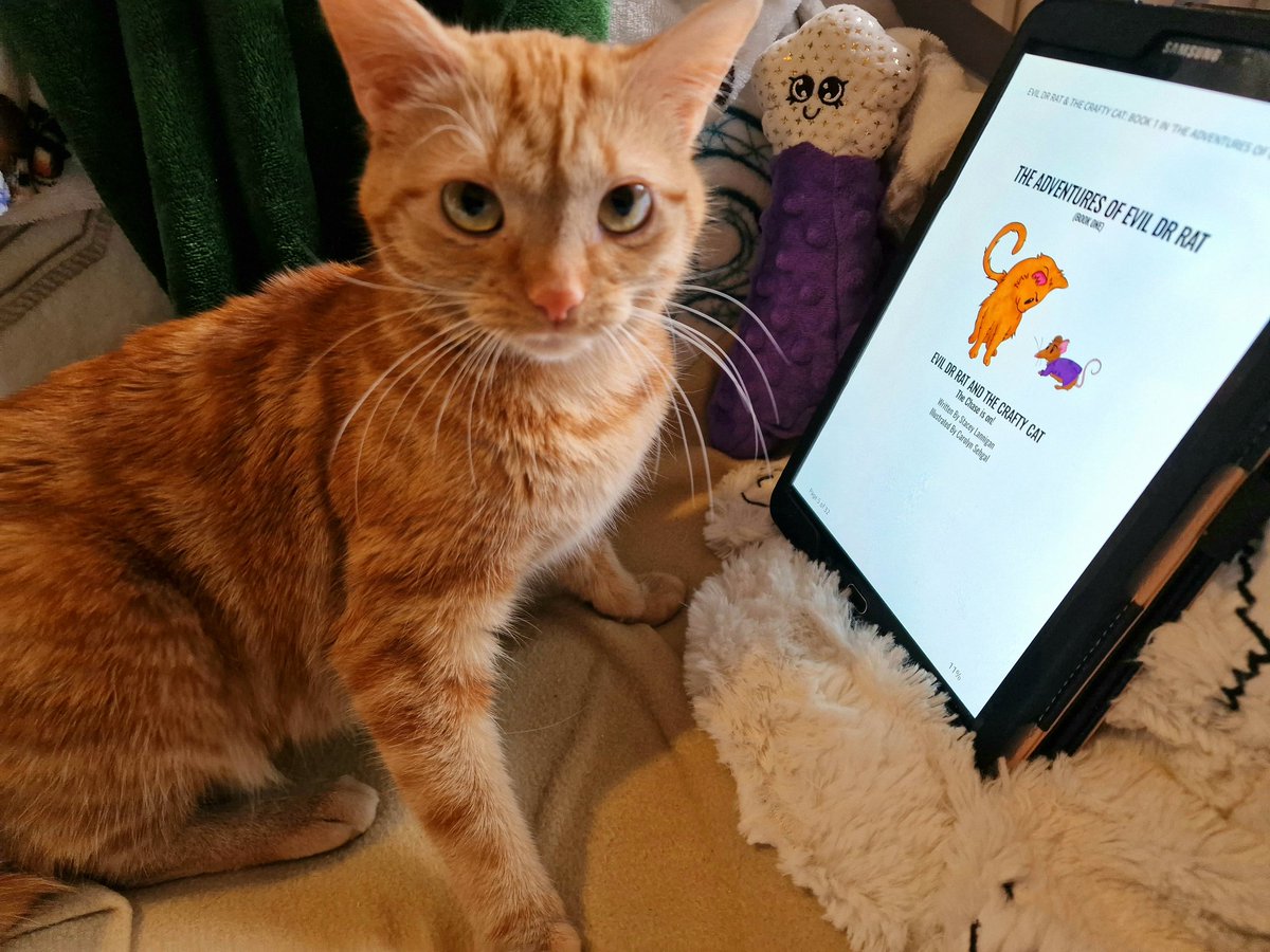 Weasley would love it if you bought her new book, Evil Dr Rat & The Crafty Cat (book 1 in The Adventures of Evil Dr Rat series), available now on Kindle and coming soon in paperback editions. #writingcommunity #childrensbooks #illustratedbook #selfpromo #EvilDrRat #TheCraftyCat