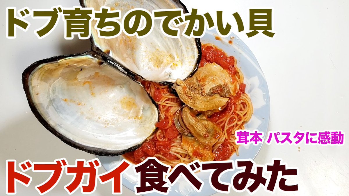 YouTube】淡水性二枚貝「淡貝」の仲間で最も有名なドブガイ。ど