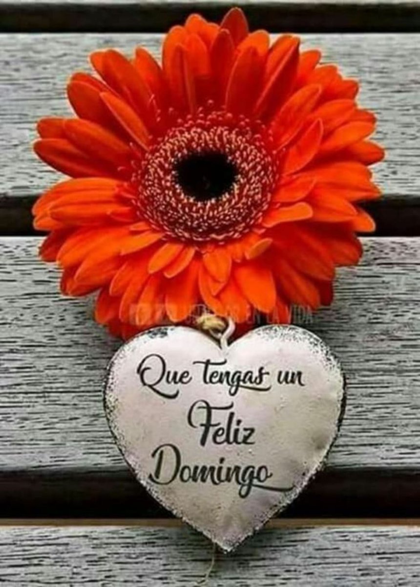 Buenos días vamos a disfrutar de de la familia!!!