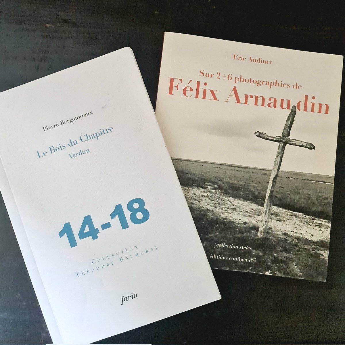 Les livres de Pierre Bergounioux  "Le Bois du Chapitre Verdun 14-18" <a href="/EditionsFario/">Éditions Fario</a> et de Éric Audinet "Sur 2+6  photographies de Félix Arnaudin" méritent d'être reliés car ils refont "la pelote du temps". Deux lectures 🙏 qui imposent de se retirer pour laisser advenir la passé.