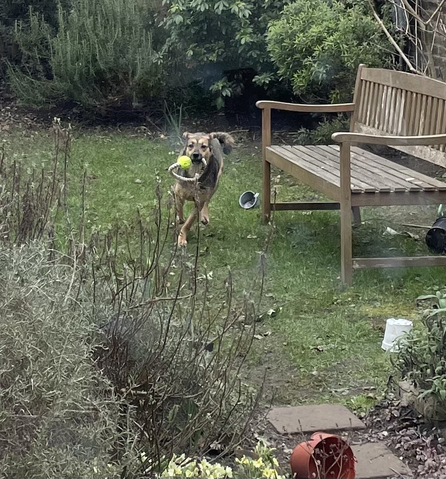 Diane Coyle tweet media