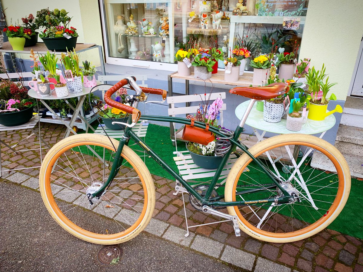 LBiclou's tweet image. Hop, Omer est prêt pour une sortie 👍🏻 @achielle_