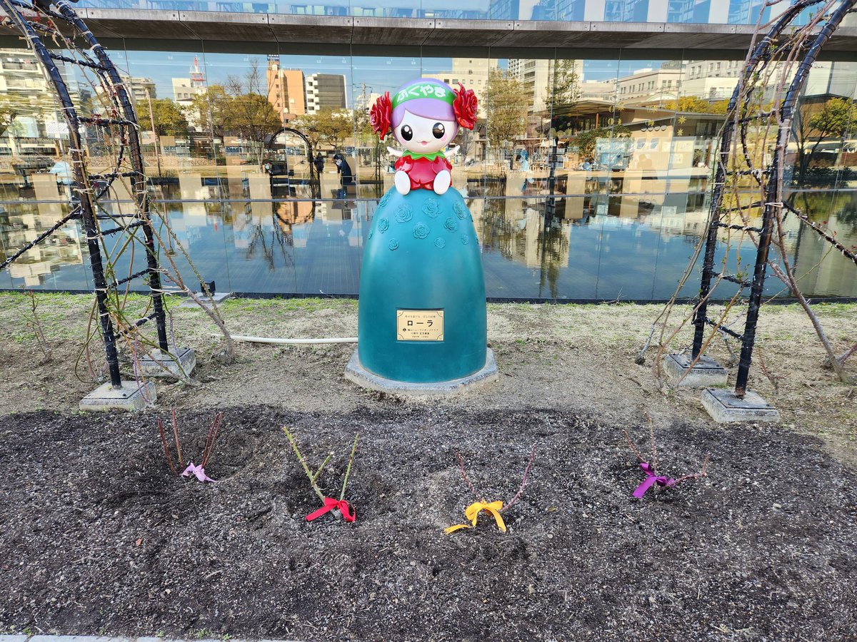 kuuipo0572's tweet photo. 聖地巡礼①中央公園
公園内に有る レストランの #Enlee さんのシュークリームとパウンドケーキをテイクアウトして日差しがあって暖かかったので外のベンチでりんりんコンビの植樹した薔薇の苗を愛でながら美味しく頂きました😋
#福山市 #ももクロ春一 #福山春一応援 #ももクロ https://t.co/2t5RjA57Nx