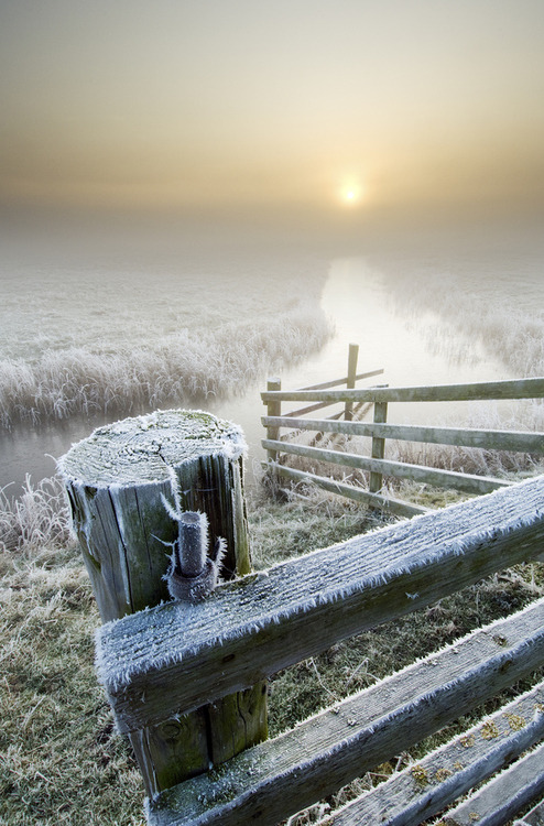 Frosty Sunrise, Isle of Sheppey, England #FrostySunrise #IsleofSheppey #England zacharycarr.com