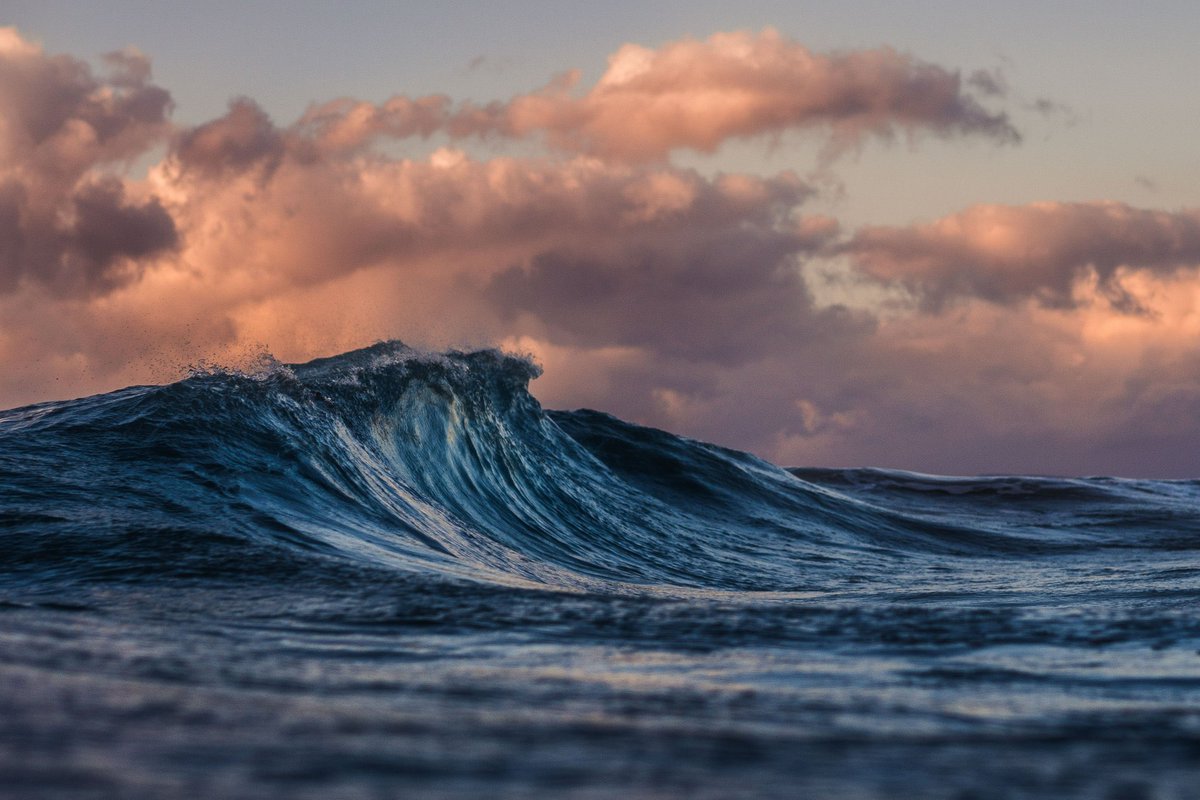 FriendsofOcean's tweet image. A historic moment for the #ocean! Congrats & thanks to all who “brought this ship to shore”: a global deal for protection & sustainable use of the #HighSeas, our greatest global commons & critical heritage for all humanity now & to come 🌊🙌🏽 #BBNJ #HighSeasTreaty #IGC5bis #SDG14+
