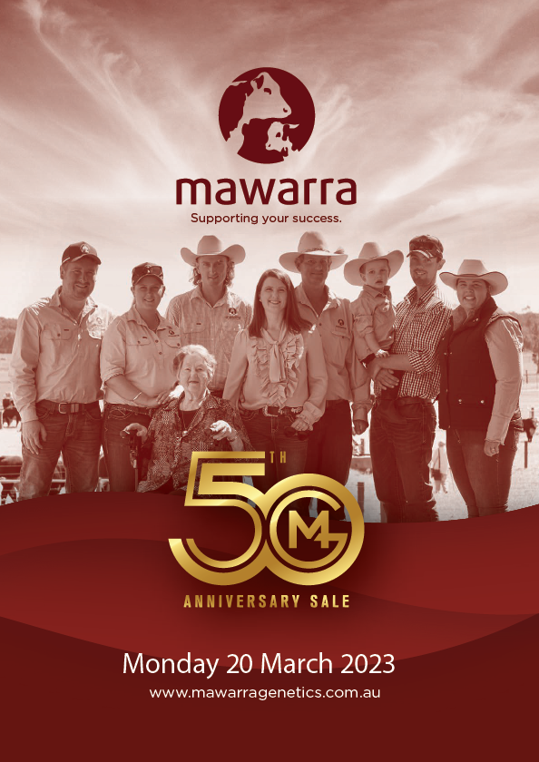 mawarrad's tweet photo. Mawarra Genetics 50th Anniversary Sale - videos now available - https://t.co/NvgrvE2hIo https://t.co/3IKDzc2RF4