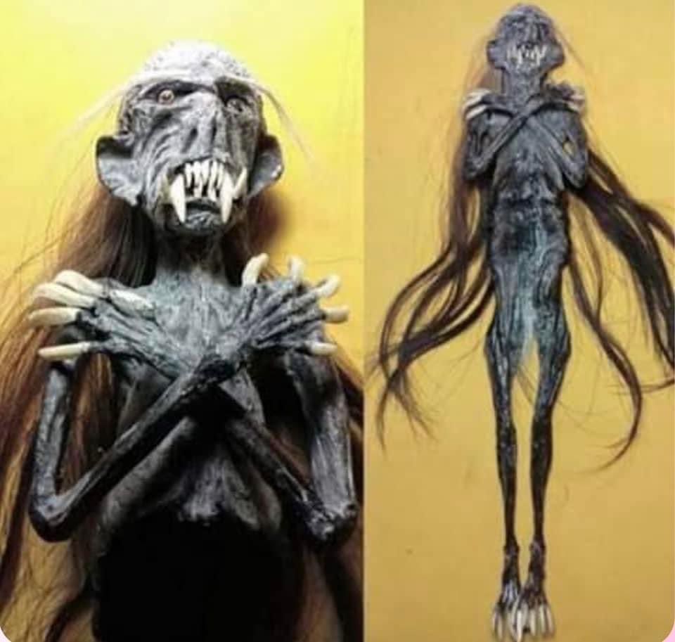 เจงล็อต (อ่านว่า เจง-หล่อด) เรื่องนี้สนุกมาก อยากให้ทุกคนไปฟัง ❌ เนื้อหาต่อไปนี้มีสปอย ใครอยากฟังกรุณาข้าม❌  ใครชอบอ่านตามมาด่วน จะเล่าสั้นๆ เรื่องของคนที่ไปทำงานในบ้านของชาวอินโดแล้วเจอเรื่องประหลาดในบ้านจนต้องลาออก จะเป็นยังไง มาฟัง มาอ่าน ไปพร้อมกัน