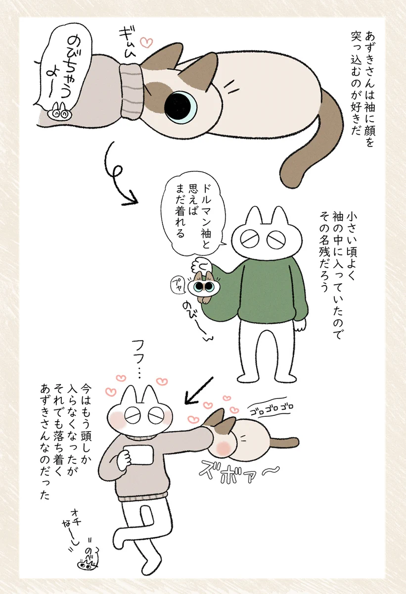 可愛すぎてすごく癒される！袖に顔を突っ込むのが好きな愛猫のお話を描いた「猫漫画」！