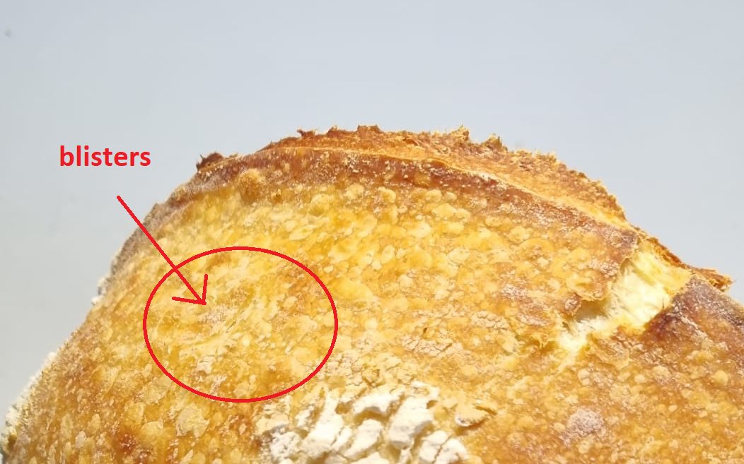 Guido Camps tweet media