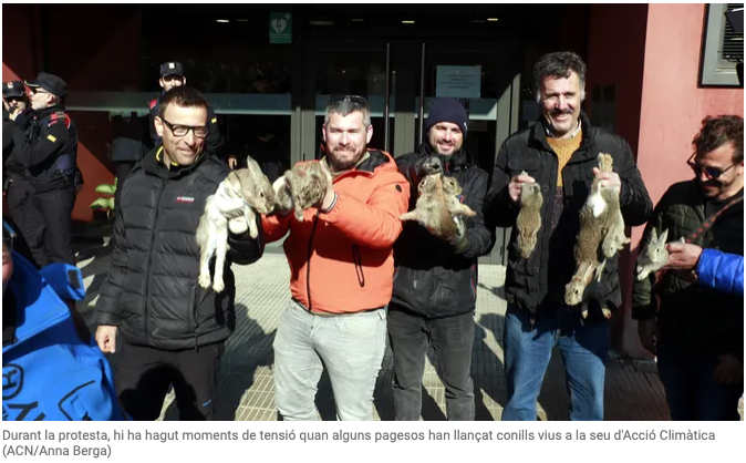 PoliticayModa's tweet image. i tant! els de seguretat harien d&apos;haver agafat els conills i protegir-los d&apos;aquests monstres. Ara, acció climàtica i conselleria d&apos;agricultura ben calladets... 

Aquests són els merdes. Que tothom els posi cara. El lema era pagesos o conills. Més clar que mai: CONILLS! #FÀSTIC