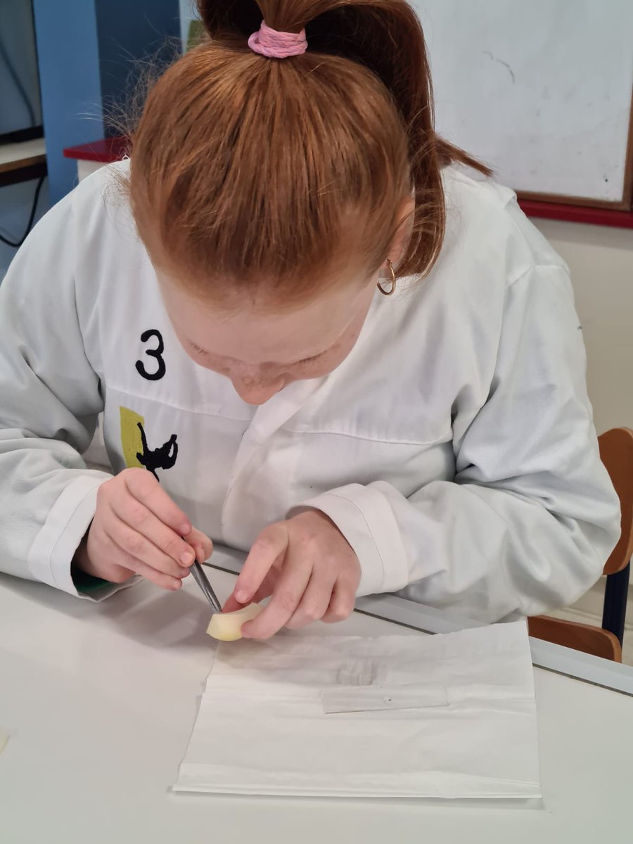 Via keuze talenten modules ontdekken de leerlingen hun persoonlijke talenten en belangstelling. Oa binnen de harde sector: Technogie? Hout? Elektriciteit? Auto? Mechanica? Lassen?... gotak.be opendeuravond 17 maart.