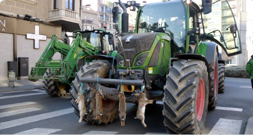 PoliticayModa's tweet image. i tant! els de seguretat harien d&apos;haver agafat els conills i protegir-los d&apos;aquests monstres. Ara, acció climàtica i conselleria d&apos;agricultura ben calladets... 

Aquests són els merdes. Que tothom els posi cara. El lema era pagesos o conills. Més clar que mai: CONILLS! #FÀSTIC