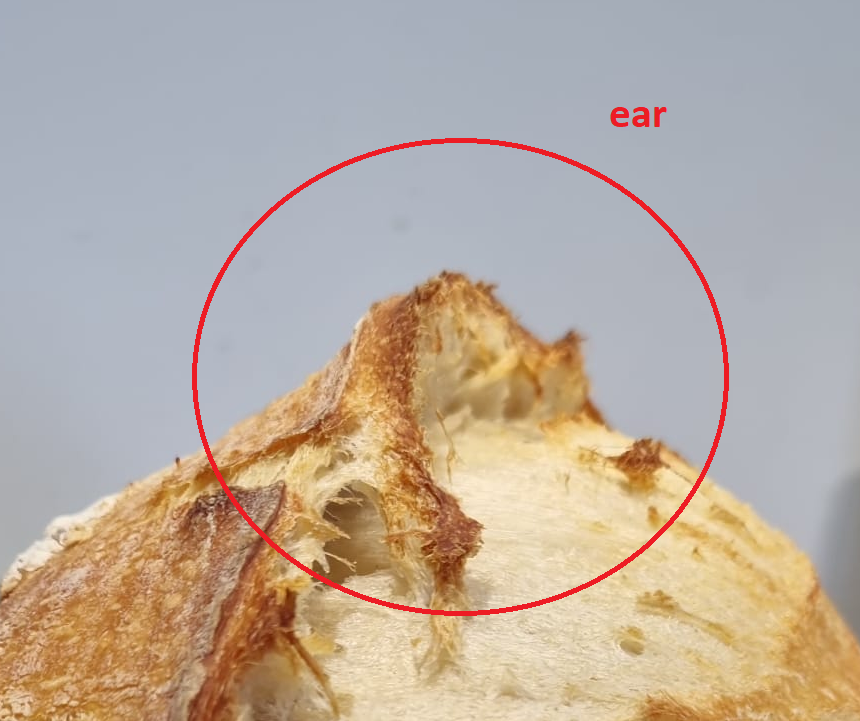 Guido Camps tweet media