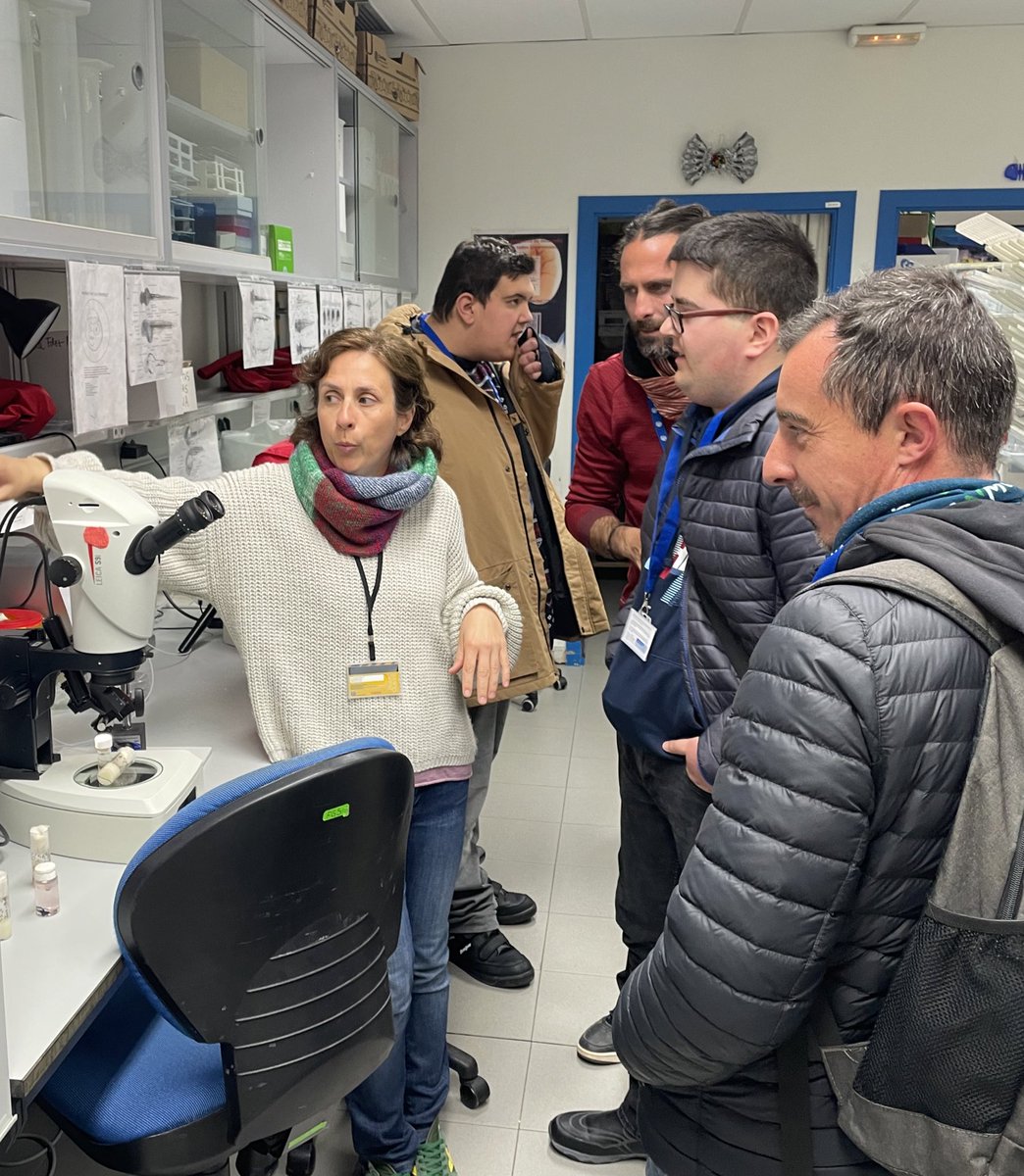 Centro Andaluz de Biología del Desarrollo tweet media