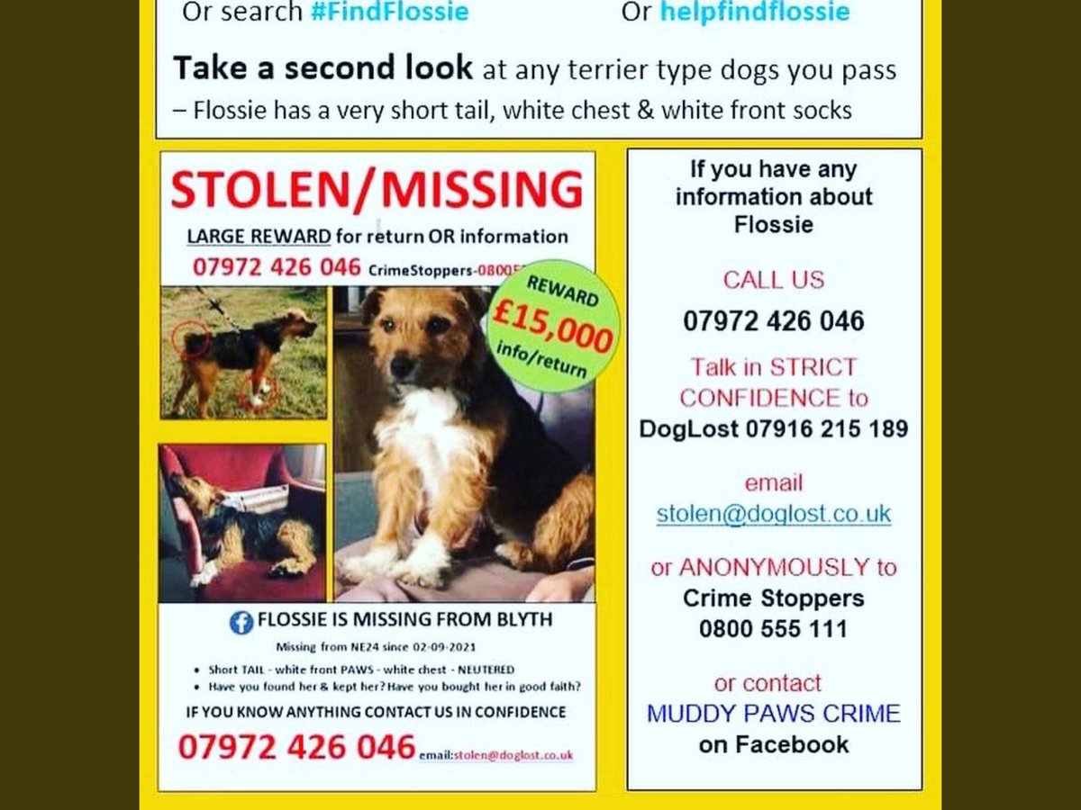 Missing for a long time. Could be anywhere. @FindFlossie ❤️