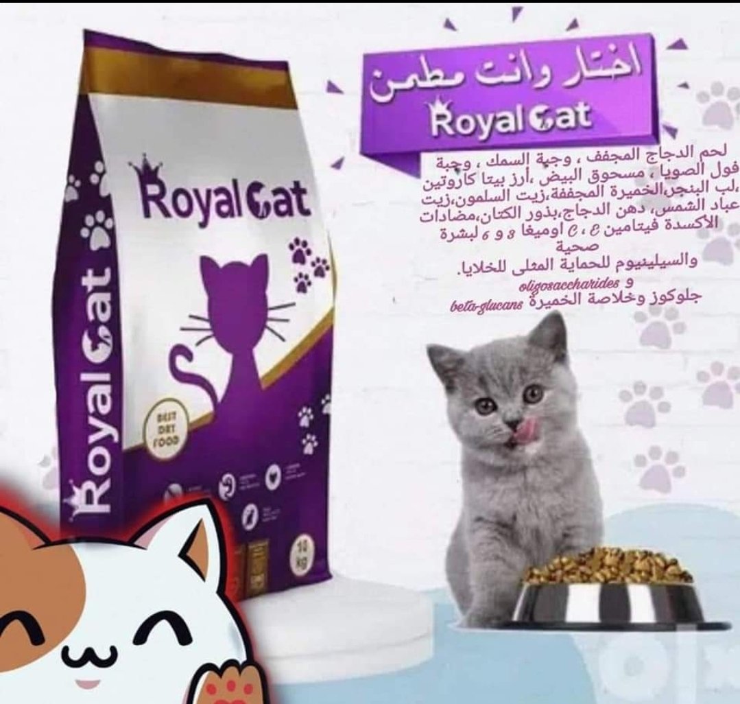 wa9iif's tweet photo. ⭐️  DRY FOOD ROYAL CAT  ⭐️
🍲 دراي فود رويال كات 🍲
 وجبة متكاملة لجميع فصائل القطط :
🐱 بلدي ، هجين ، شيرازي ، سيامي ، هملايا ، انقورا ، ، ، الخ
مناسب لعمر (+6 ) شهور و فوق
1 كيلو = 4.000 الف
التوصيل  Go
 مكالمات+واتساب 
 0961726014
للداير يتواصل معاهم د حسابهم @petstore7500 https://t.co/XKIbUzy3OL