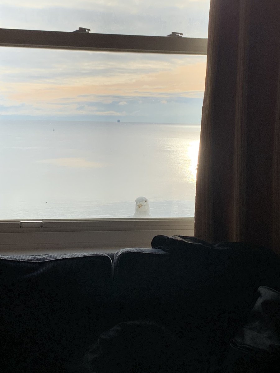 And good mornin’ to you too. There’s nothin’ for ye…