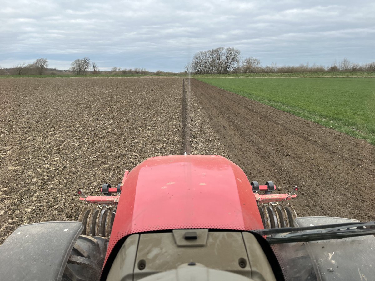 SustEnvFarming's tweet image. Lynx #beans finished yesterday, Laureate #springbarley #malt started today
I have to say it has been years since I can remember conditions so good. The lack of 10 foot of #waterstorage #flooding on the land shows just how much an impact this #publicgood has in family farms
