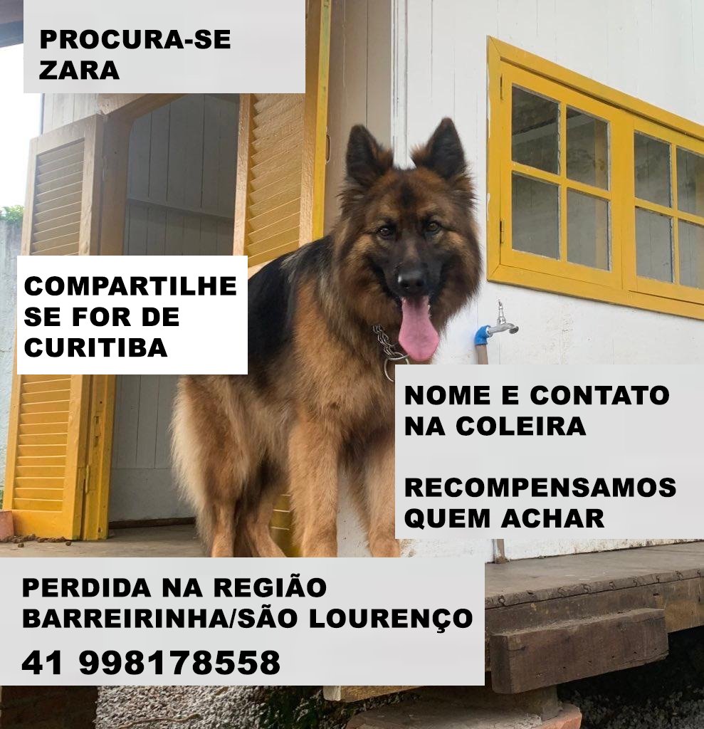 alvaroborba's tweet photo. Vizinhos, por favor me ajude. https://t.co/4n0UlpXkIy