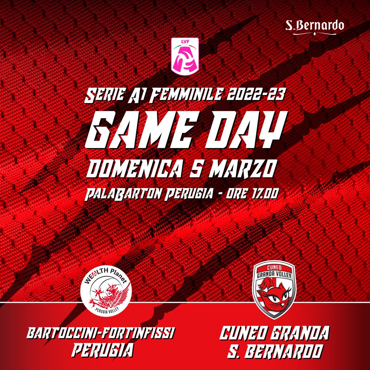 Cuneo Granda Volley tweet media