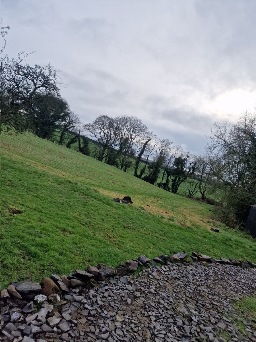 Mandymo4's tweet photo. What a way to start the day #bootcamp on the farm. 8.15am start. Full on strength & running around fields session. Highly recommend https://t.co/o09HGe0wRK check them out #lovedit #physicalheath #mentalhealth #metime #alternativetraining https://t.co/WUQY6F9OcI