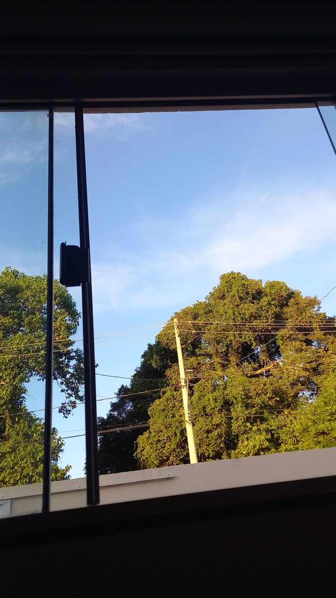 GilceliaGuedes's tweet photo. #Bomdia 🌞🙏🏻🍃 https://t.co/V6WvmmdF9i