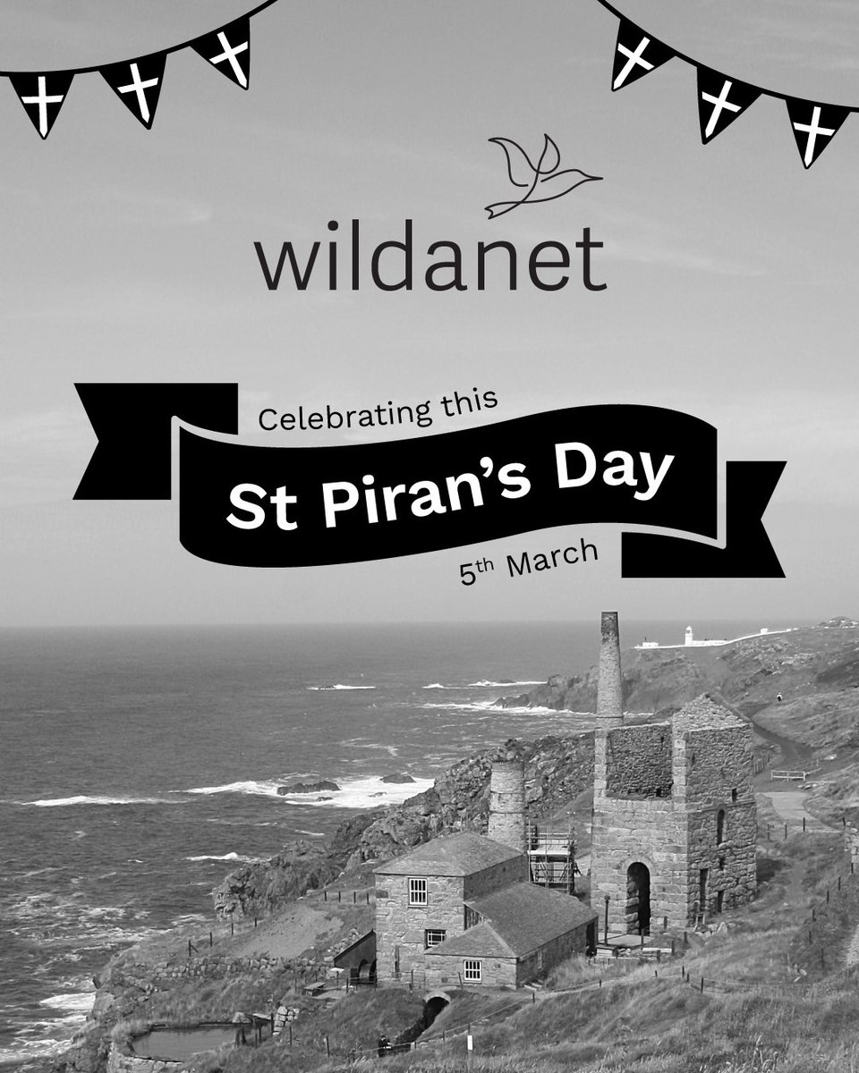 Wildanet is Cornish and proud! We’re dedicated to bringing high-speed broadband to homes, businesses and communities throughout Cornwall. The 5th of March is dedicated to St Piran, the patron saint of Cornwall and tin miners. Wildanet wishes you a Happy St Piran’s Day!