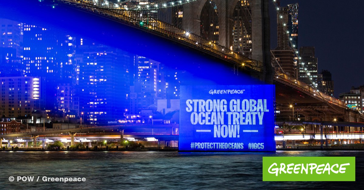 greenpeace_de's tweet photo. DAS IST GROß: Die @UN haben sich - nach fast 20 Jahren - endlich sich auf ein globales #Meeresschutzabkommen geeinigt! 🌍

Das ist einer der größten Erfolge für den Naturschutz aller Zeiten! 

Das bedeutet es 🧵👇 https://t.co/SxFRm99sJY
